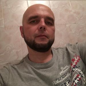 Сергей, 45 лет, Шелехов