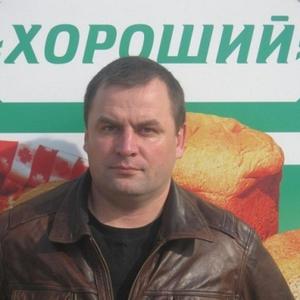 Роман Кузьмин, 49 лет, Подольск