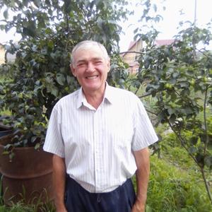 Сергей Иванович, 63 года, Новосибирск