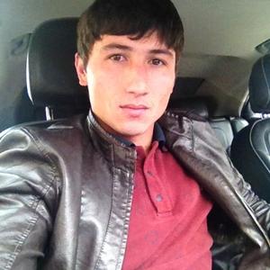 Sarvar Hamrayev, 33 года, Ташкент