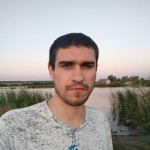Алексей, 32 года, Саратов