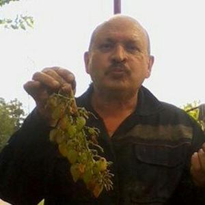 Garri, 61 год, Краснодар