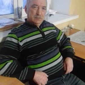 Viktor, 65 лет, Челябинск