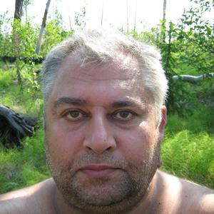 Игорь, 63 года, Воронеж