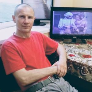 Николай, 53 года, Луга