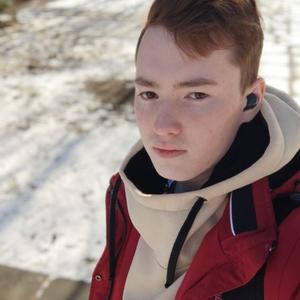 Даниил, 19 лет, Калининград