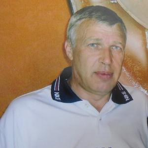 Slava Plotnikov, 70 лет, Тольятти