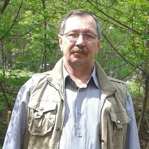 Брайловский Иван, 63 года, Челябинск