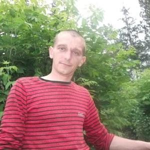 Парни в Краснозерское: Дмитрий Кириченко, 42 - ищет девушку из Краснозерское