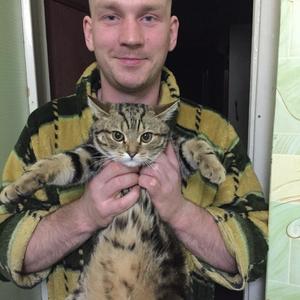 Алексей, 36 лет, Смоленск