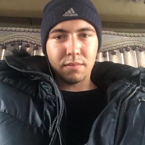 Влад, 29 лет, Новочеркасск