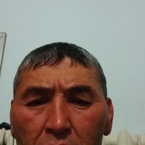 Алишер, 37 лет, Ставрополь