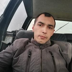 Андрей, 28 лет, Солнечногорск