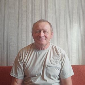 Александр Теканов, 72 года, Санкт-Петербург