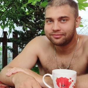 Сергей, 38 лет, Тула