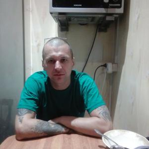 Миша Ильясов, 44 года, Архангельск