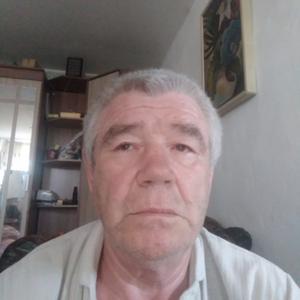 Сергей Паномарев, 68 лет, Новосибирск