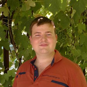 Дмитрий, 31 год, Краснодар