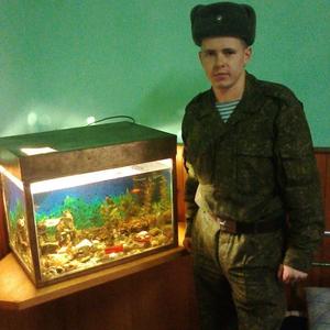 Александр Тарасов, 30 лет, Брест