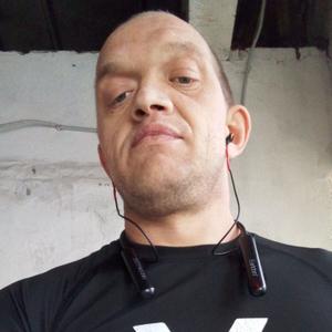 Андрей, 39 лет, Волгоград
