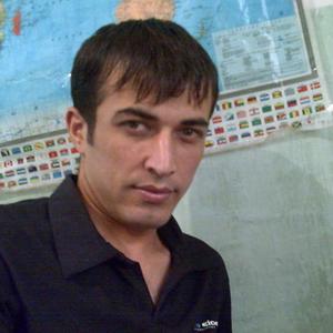 Парни в Ташкенте (Узбекистан): Sultan Süleyman, 41 - ищет девушку из Ташкента (Узбекистан)
