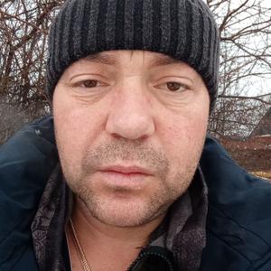 Воронин, 37 лет, Воронеж