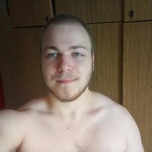 Кирилл, 27 лет, Минск