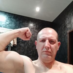 Петрович, 44 года, Калининград