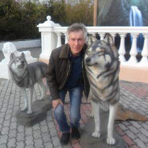 Гали, 66 лет, Красноярск