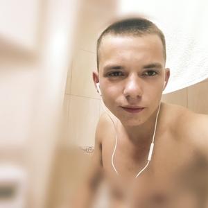 Арсений, 25 лет, Витебск