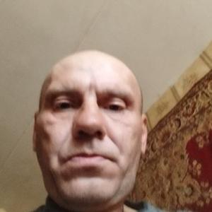 Aleksandr, 46 лет, Коломна