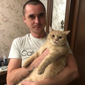 Антон, 35 лет, Ижевск