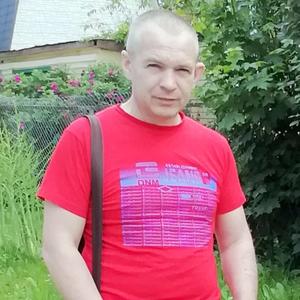 Павел Оникин, 44 года, Иваново