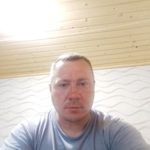 Евгений, 41 год, Тула