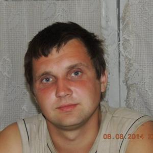 Саша, 34 года, Череповец