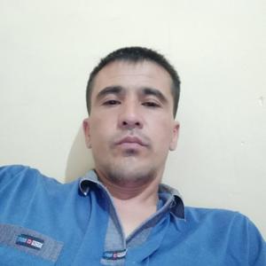 Sanjar, 33 года, Ташкент