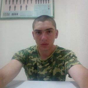 Серега, 28 лет, Бобруйск