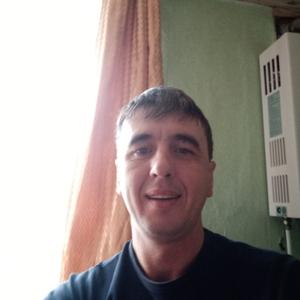 Дмитрий, 41 год, Севск
