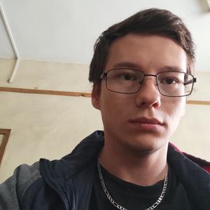 Владимир, 22 года, Калининград