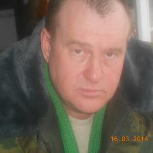 Андрей Лебедев, 57 лет, Воронеж
