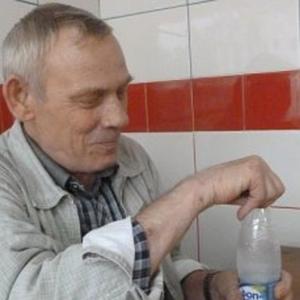Александр Колпаков, 66 лет, Екатеринбург