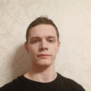 Кирилл, 27 лет, Полярные Зори