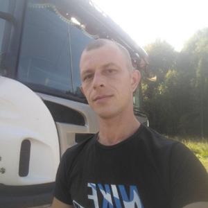 Ромик, 38 лет, Вологда