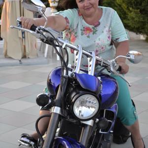 Светлана Богацкая, 56 лет, Белгород