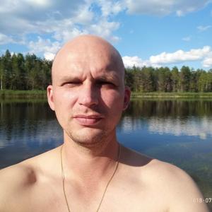 Антон, 41 год, Череповец