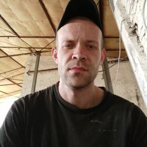 Александр Хлебородов, 29 лет, Севск