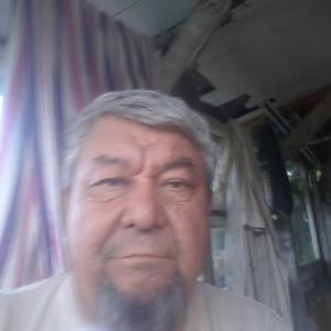 Анвар, 71 год, Мелеуз