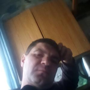 Евгений, 41 год, Геленджик