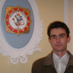 Дмитрий, 45 лет, Пошехонье