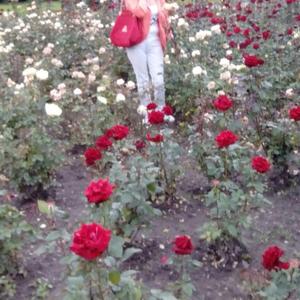 Девушки в Екатеринбурге: Татьяна, 68 - ищет парня из Екатеринбурга